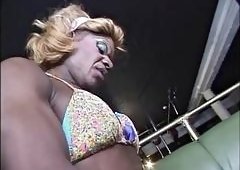 Ebony Shemale BBC Slams White Guy