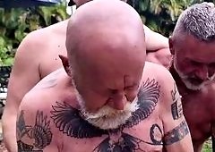 Gangbang of Hairy Stepdads and Stepgrandpas with Logan Stanley